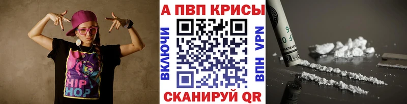 Alfa_PVP СК КРИС Пересвет