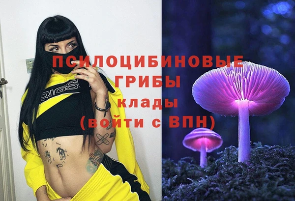 стаф Карталы