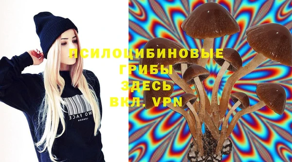 мескалин Кинешма