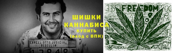 мдпв Киреевск