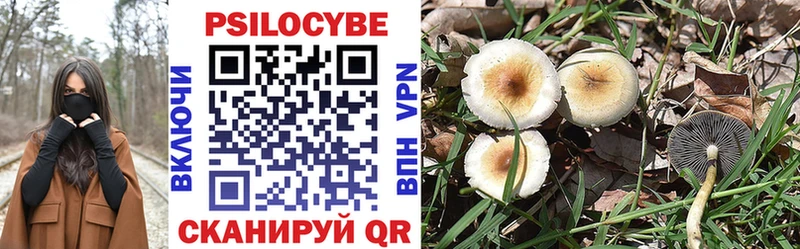 Псилоцибиновые грибы MAGIC MUSHROOMS  Пересвет 
